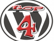 Four Wordpress Social Plugin Should Have