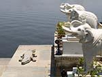 Three elephants and crocodile at Jag Mandir Palace fortunately all stone