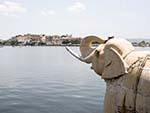 Jag Mandir Palace elephant with City Palace seen in the distance