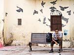 Travis resting with birds flying from a cage