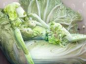 Food Meets 114: Fantasies Chinese Cabbage