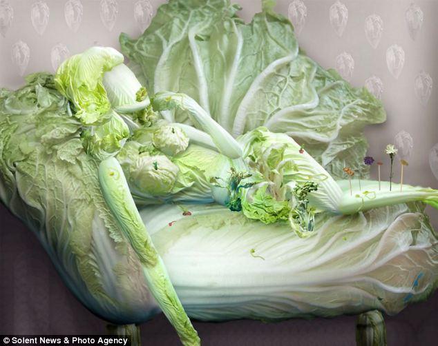 Food Meets Art 114: The Fantasies of Chinese Cabbage