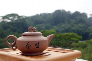 Downplaying the importance of taste in tea tasting