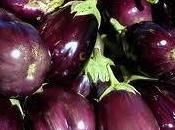Eggplant Dinner Garnering Interest Fruit Phenolic Constituents