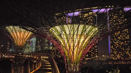 Gardens by the Bay - SuperTrees