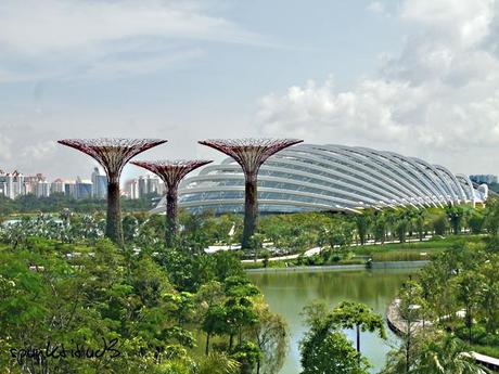 Gardens by the Bay - SuperTrees