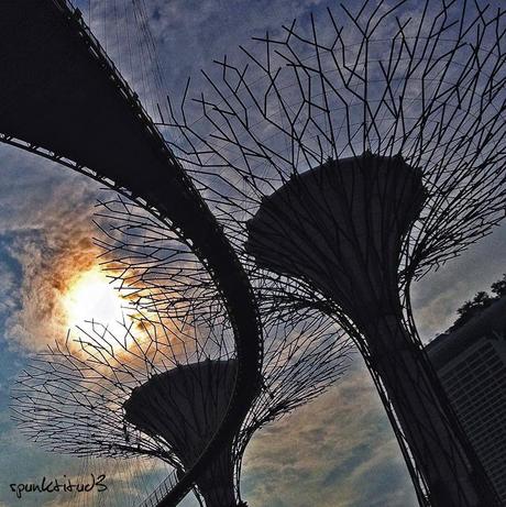 Gardens by the Bay - SuperTrees