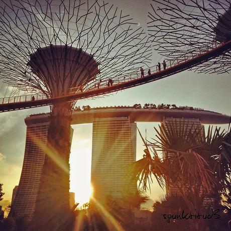 Gardens by the Bay - SuperTrees