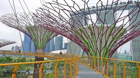 Gardens by the Bay - SuperTrees