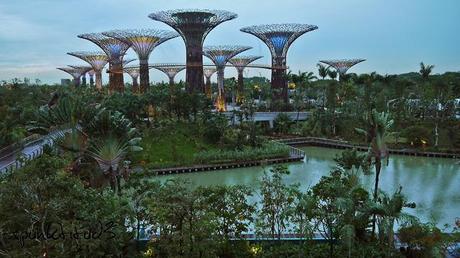 Gardens by the Bay - SuperTrees