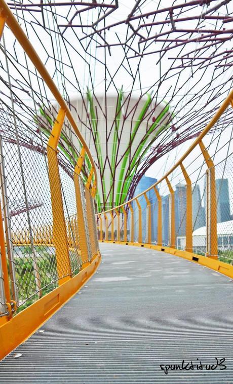 Gardens by the Bay - SuperTrees