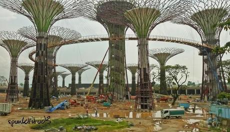 Gardens by the Bay - SuperTrees