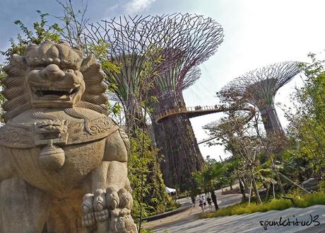 Gardens by the Bay - SuperTrees