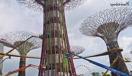 Gardens by the Bay - SuperTrees