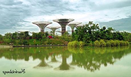 Gardens by the Bay - SuperTrees