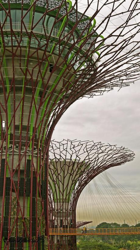 Gardens by the Bay - SuperTrees