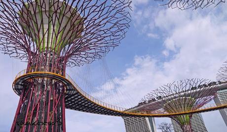 Gardens by the Bay - SuperTrees