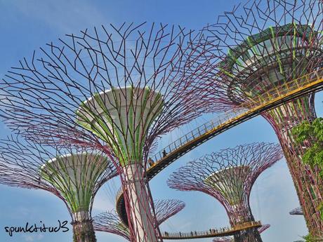 Gardens by the Bay - SuperTrees