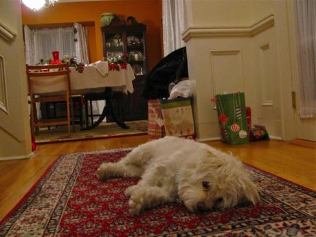 Dog-Tired-and-Last-Bits-of-Christmas-Day-