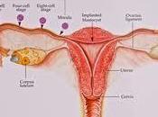 Greatest Wish Woman Through