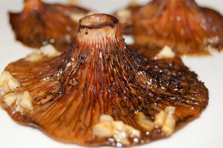 In season – Baked wild mushrooms recipe
