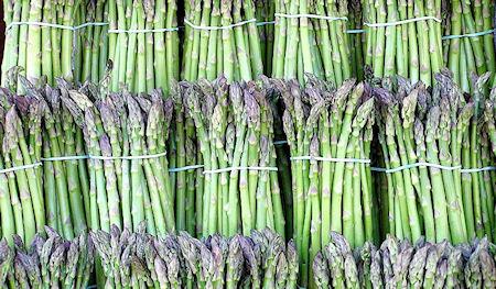 Eating Asparagus May Prevent A Hangover