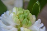 February Weekly Photo Challenge: My 2012 in Pictures