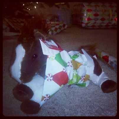 horse wrapping
