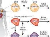 PARP Inhibitors PI3K Option Triple Negative Breast Cancer?