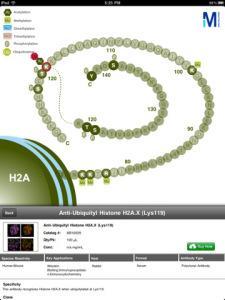 Histone map