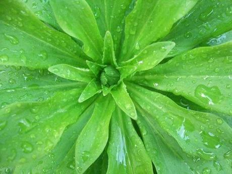 A Look Back at the Year 2012 A Look Back at the Year 2012