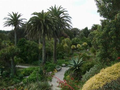 A Look Back at the Year 2012 A Look Back at the Year 2012