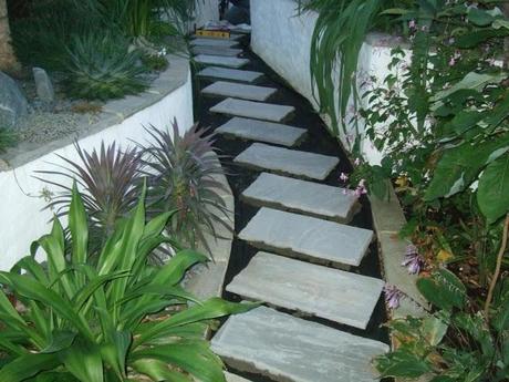 A Look Back at the Year 2012 A Look Back at the Year 2012