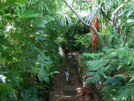 A Look Back at the Year 2012 A Look Back at the Year 2012