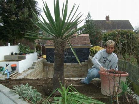 A Look Back at the Year 2012 A Look Back at the Year 2012