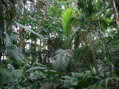 A Look Back at the Year 2012 A Look Back at the Year 2012