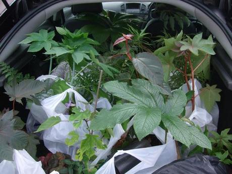 A Look Back at the Year 2012 A Look Back at the Year 2012