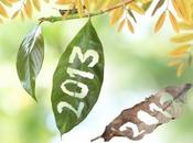 Happy, Healthy, Green Sustainable 2013!