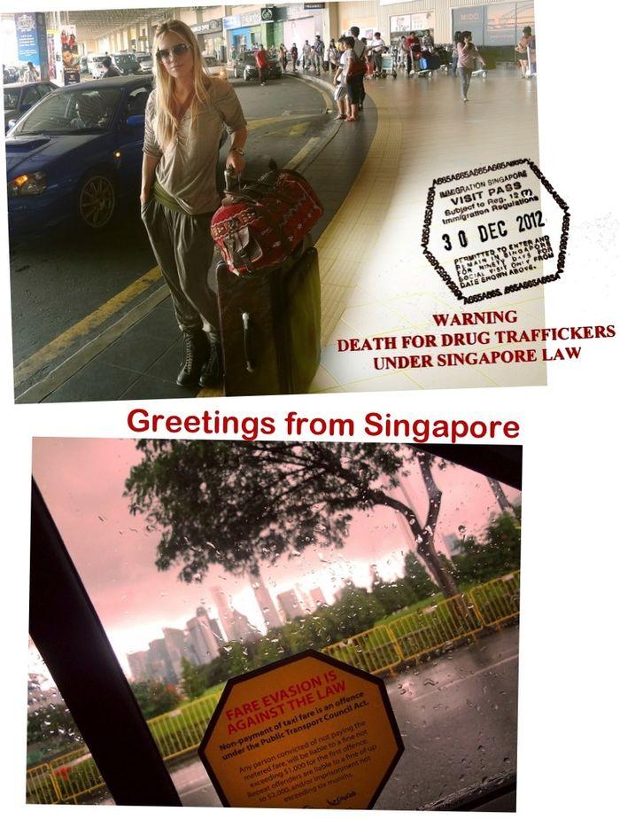 landing in singapore