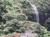 Happy Year! 2013, I’ve Plans