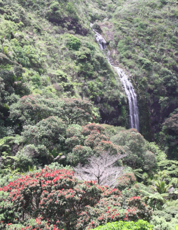 Happy new year! 2013, I’ve got big plans for you karekare waterfall west auckland