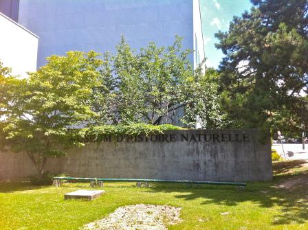 Muséum d’Histoire Naturelle, Geneva, Switzerland