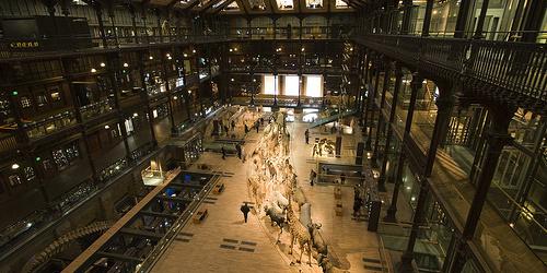 Muséum d'Histoire Naturelle