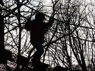 365 photos - it starts here