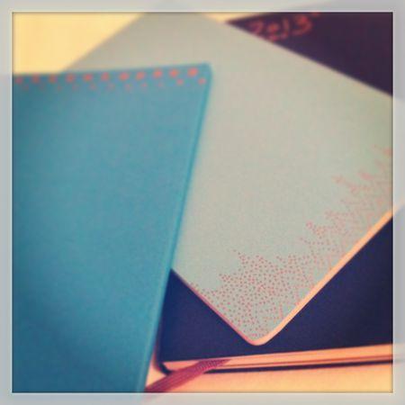 moleskine journals