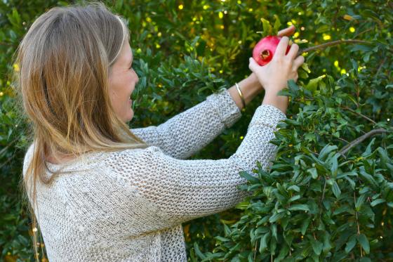 NookAndSea-Blog-Pomegranate-Fresh-Tree-Garden-Napa-Valley-California