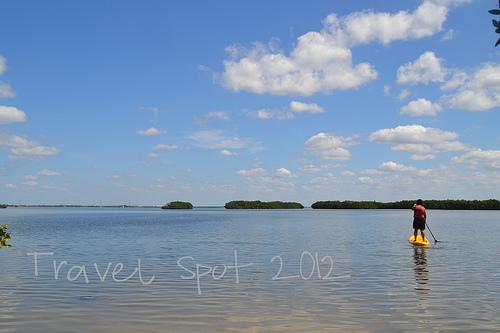 paddle board