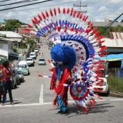 Buffalo Bustle Dancer - Carnival in Trinidad