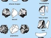 Australopithecus Make Stone Tools?
