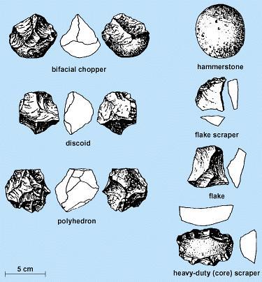 Did Australopithecus make stone tools?